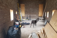 Adobe-Build-10-12-2021-3879306772754940140